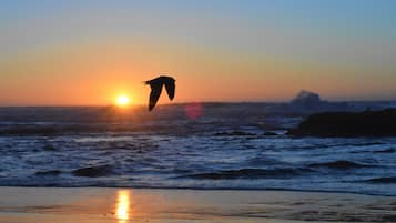 Tovalloles de platja