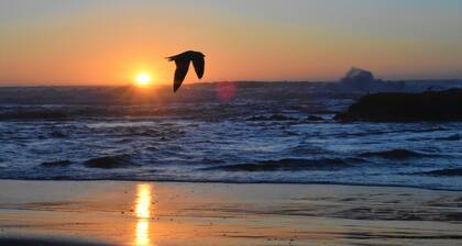 Haustierfreundlich! FĂŒhlt sich wie zu Hause und erschwingliche Preise