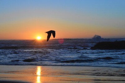 Where the river meets the beautiful Oregon Coastline.