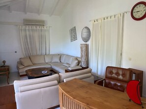 TV, DVD player, books, video library