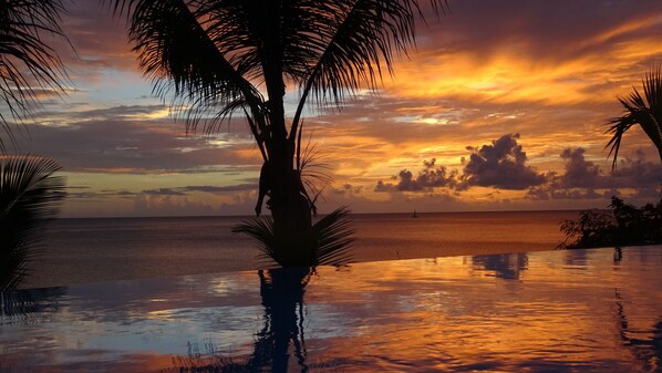 A sunset over a beach with palm trees and a reflective pool. - Villa with exceptional sea view, infinity pool and jacuzzi, direct sea access (POINTE NOIRE)