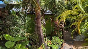 Un jardín exuberante con diversas plantas tropicales y un sendero que lleva a una estructura verde.