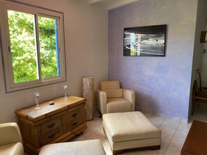 TV, DVD player, books, video library