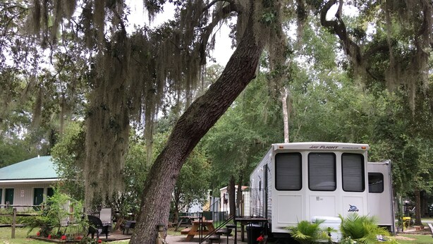 Een Jayco Jay Flight RV op een camping, met een overdekte picknickplaats en potplanten in de buurt.