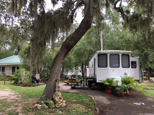 Kaunis get-away Floridan Ocala National Forest @ Salt Springs Resort!