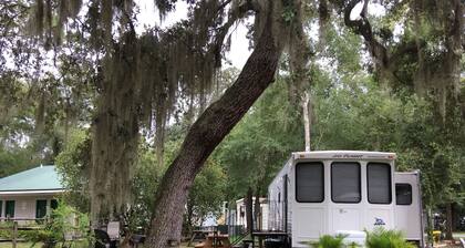 Kaunis get-away Floridan Ocala National Forest @ Salt Springs Resort!