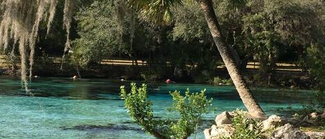 حمّام سباحة خارجي، حمّام سباحة مُدفَّأ