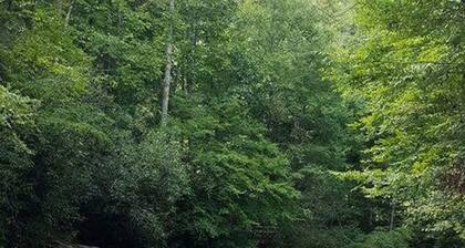 Una visión inspirada ....