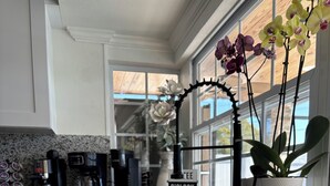 A kitchen with granite countertops, a coffee station, a potted plant, and a window with a view.