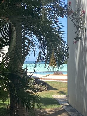 Enjoy a serene beachside escape with a tranquil lawn and ocean views.