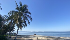 A beach with palm trees, a fenced area, and a horse. - A pool and a beach… What else do you need? Check out my REVIEWS! GREEN! (BUCERIAS)