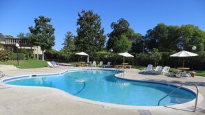 Une piscine à bord incurvé, entourée de chaises longues et de parasols, avec des arbres et un bâtiment en arrière-plan.