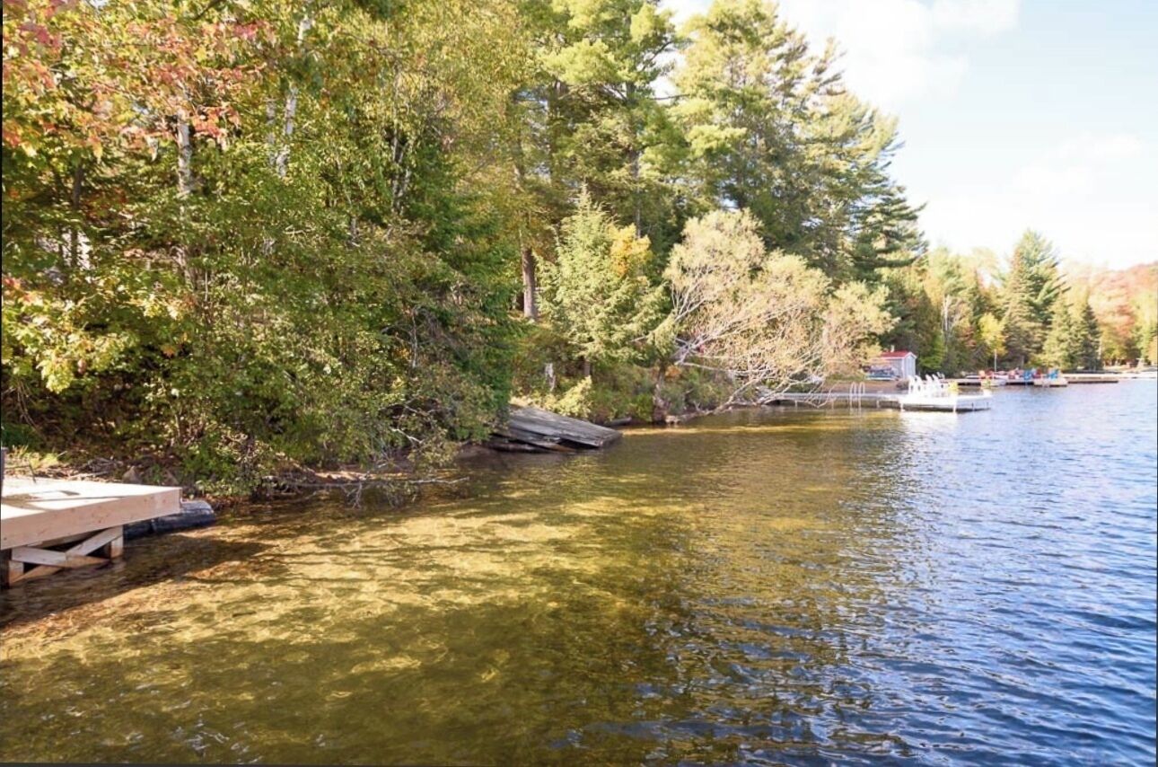 Un lago tranquilo con un muelle y un bote pequeño, rodeado de árboles frondosos y un cielo despejado.
