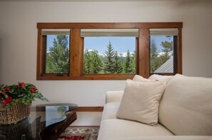 Älytelevisio, takka, kirjoja, musiikkikirjasto