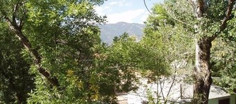 New Centrally Located Home with AC on Historic Westside