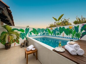 Pool - Luxury Loft with Private Pool in Ixtapa (Ixtapa)