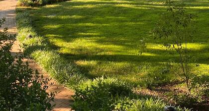 Lake Front Cottage, 300' of Shoreline, Large Private Pier, and Great Location.