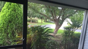 A view through a window with a large tree and a lawn. - 2/2, pet friendly, town home in citrus hills. Central to all golf courses! (Hernando)