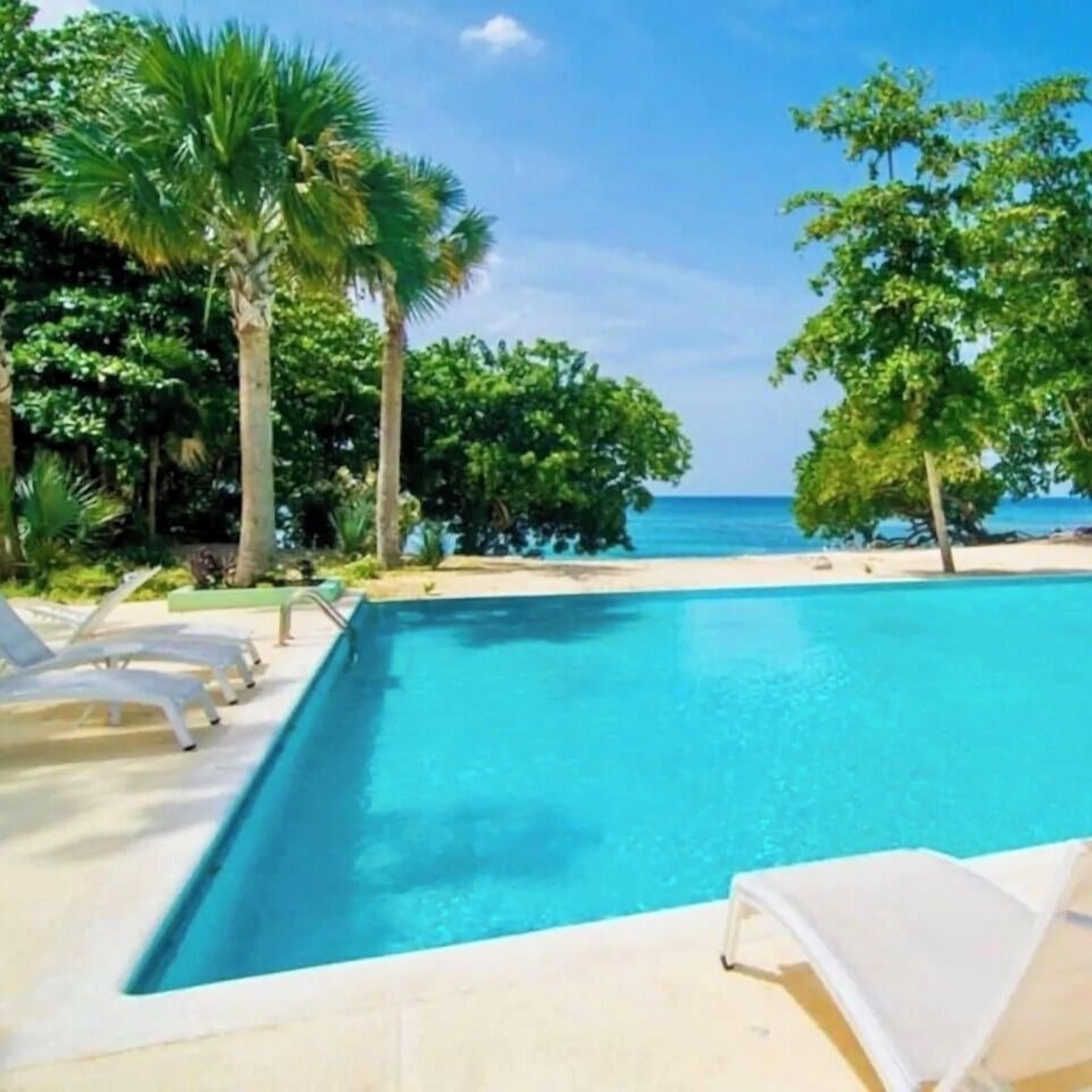 A rectangular swimming pool with clear blue water, surrounded by palm trees and lounge chairs.