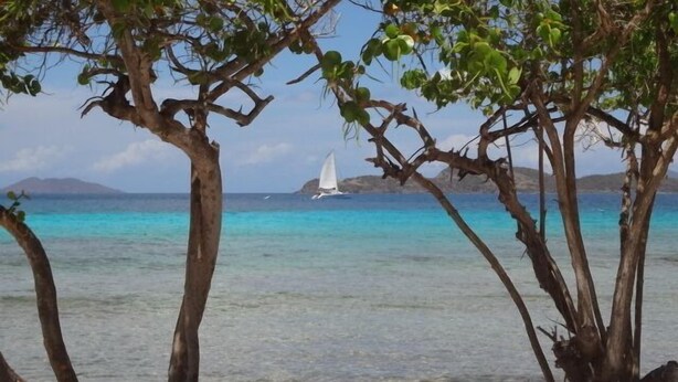 Ein Strand mit klarem türkisblauem Wasser, ein Segelboot in der Ferne und Bäume, die den Blick einrahmen.