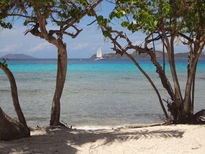 En strand med klart turkis vand, en sejlbåd i det fjerne og træer der indrammer udsigten.