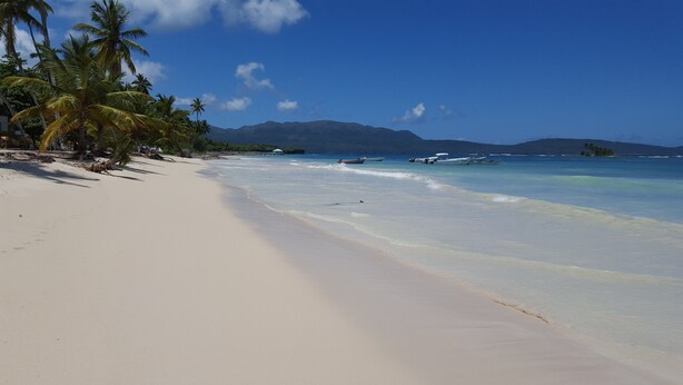 A beach with clear turquoise water, palm trees, and boats in the distance. - Villa Natasha (Las Galeras)