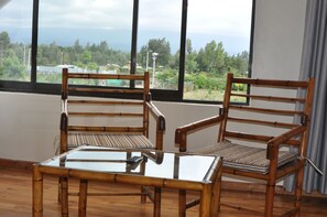 Habitación doble superior | Zona de estar | Una televisión de plasma