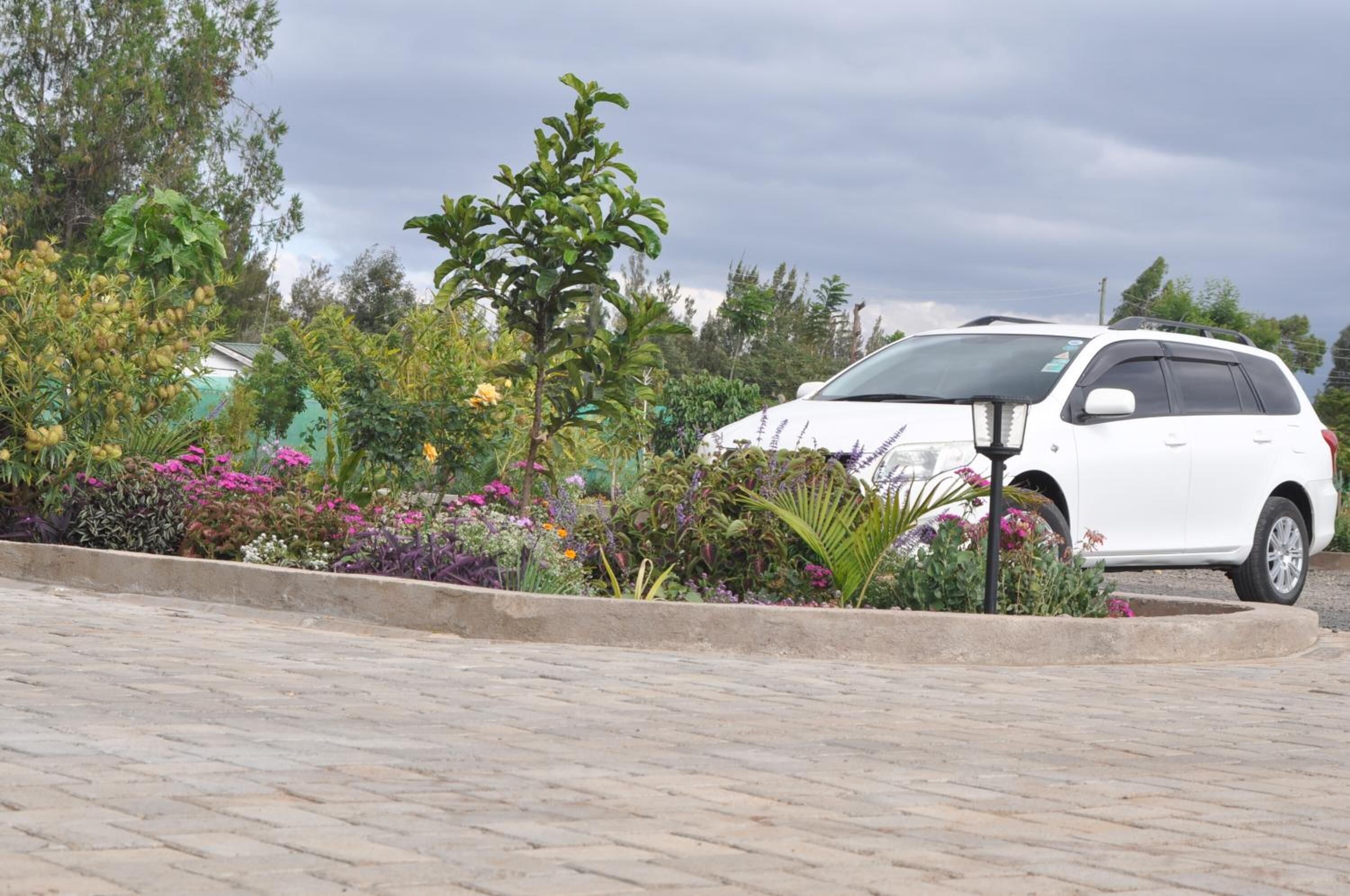 free self-parking, free valet parking