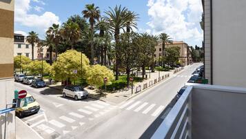 Vista de la calle con un paso de peatones, coches aparcados, palmeras y edificios al fondo.