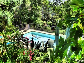 A swimming pool surrounded by lush greenery and a fenced area with a lounge chair.