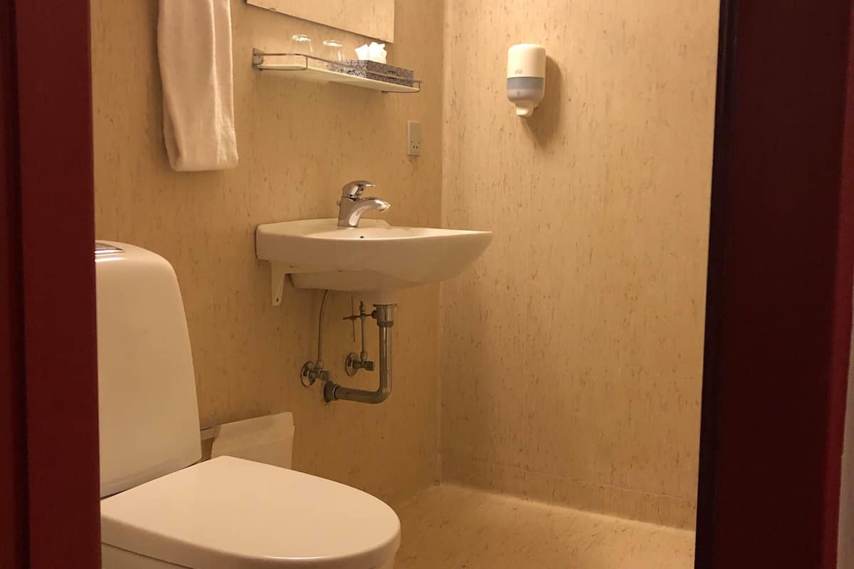 economy double or twin room, 2 single beds | bathroom | shower, hair dryer, towels