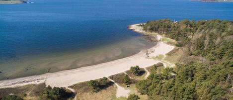Vue aérienne d’une zone côtière avec une plage de sable, une forêt dense et une vue dégagée sur l’océan.