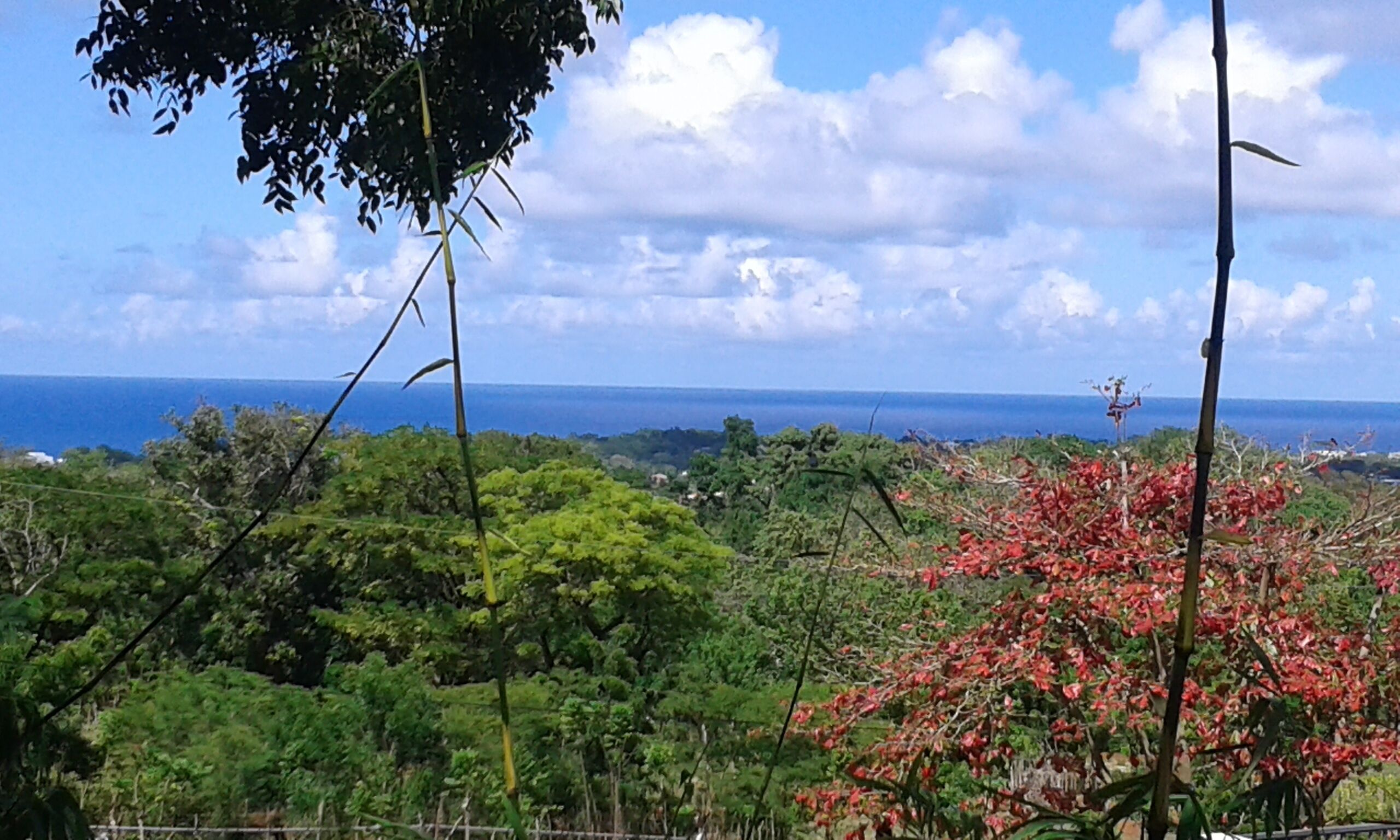 Foto - B&B El Mirador al Mar