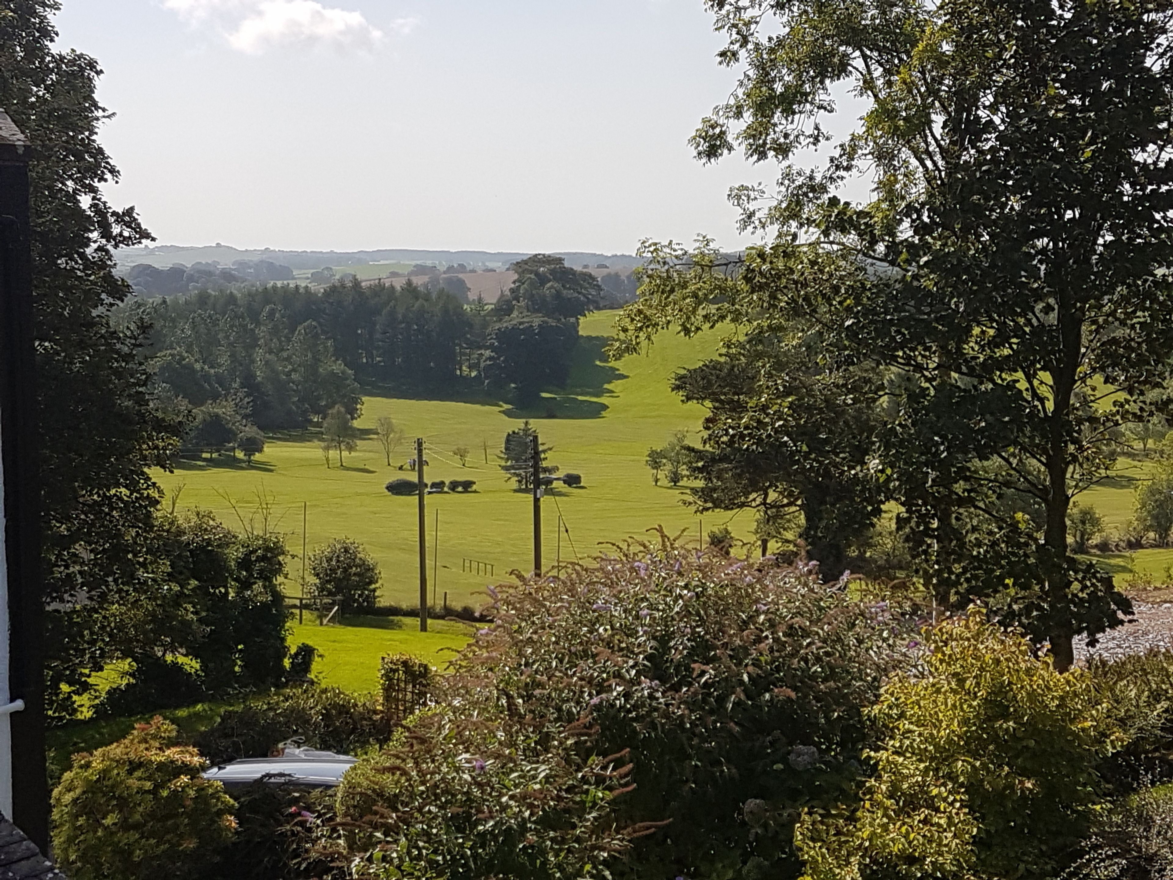 Vista de un campo verde con árboles y un edificio al frente.