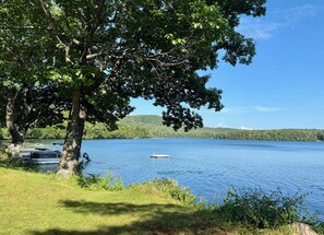 Une vue sur le lac, avec des bateaux amarrés, un quai et un grand arbre au premier plan.