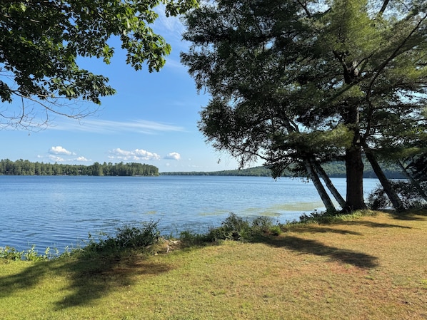 A lakeside view with trees and a grassy area. - The Love Nest - a Cozy Lakefront Log Cabin (Farmington,)