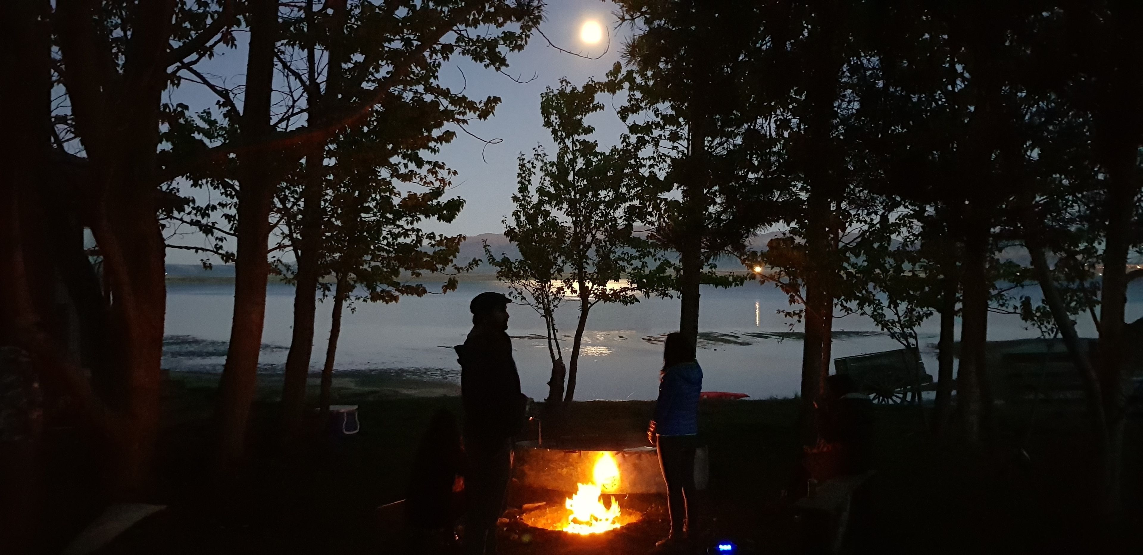 A campfire with people around it, trees, and a body of water in the background.