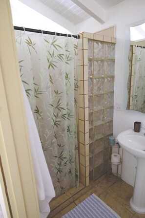 Shower, hair dryer, towels, soap - Oreanda - Casita Verde - Best of Vieques at a Great Price (Vieques)