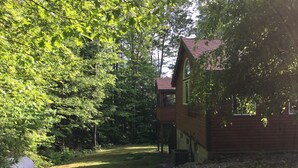 Une cabane en bois, dotée d’un toit en pente, entourée d’un feuillage verdoyant et dense.