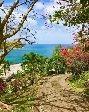 Un sentier menant à une plage d’où l’on peut admirer l’océan, le tout étant bordé d’une végétation luxuriante et de plantes en fleurs.