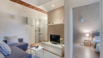 Flachbildfernseher, Bücher