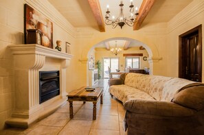 智能电视、壁炉、DVD 播放器