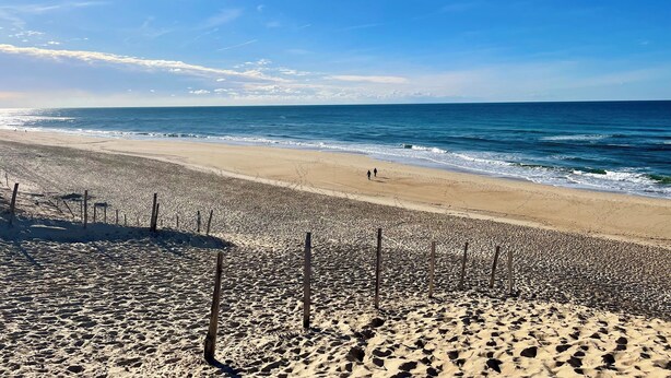 Ein Strand mit blauem Himmel, ruhiger See und sandigem Ufer mit Holzpfählen.