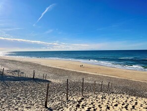 Une plage avec un ciel dégagé, une mer calme et un rivage sablonneux parsemé de poteaux en bois.