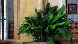 A reception area with a marble counter, a potted plant, and a decorative wall panel. - Villa Sa Coma - A Perfect Retreat for Your Dream Vacation! (Cala Millor)
