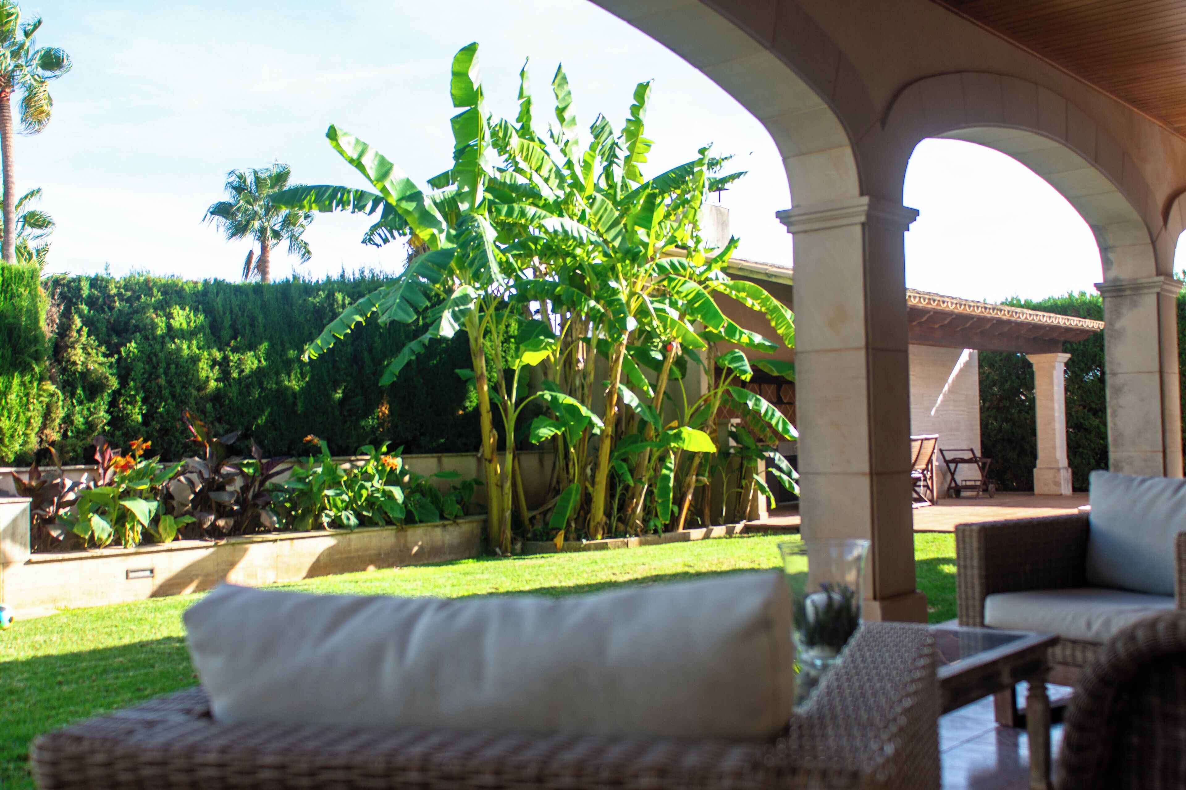 An outdoor patio area with a wicker sofa, a dining table, and chairs. There are banana trees and other greenery in the background.
