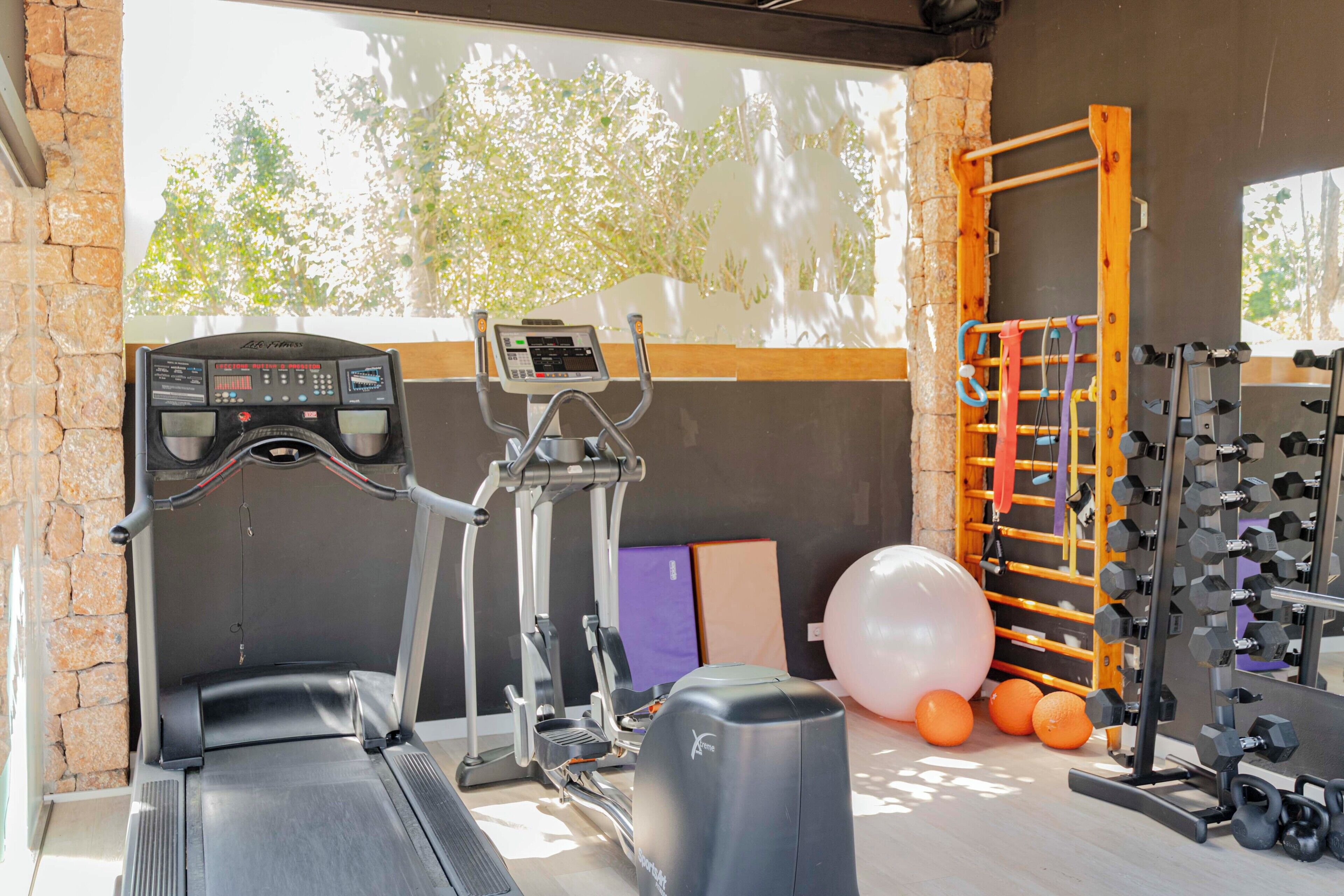 Une salle de sport équipée de tapis de course, d’un vélo d’appartement, d’un banc de musculation et de ballons d’exercice.