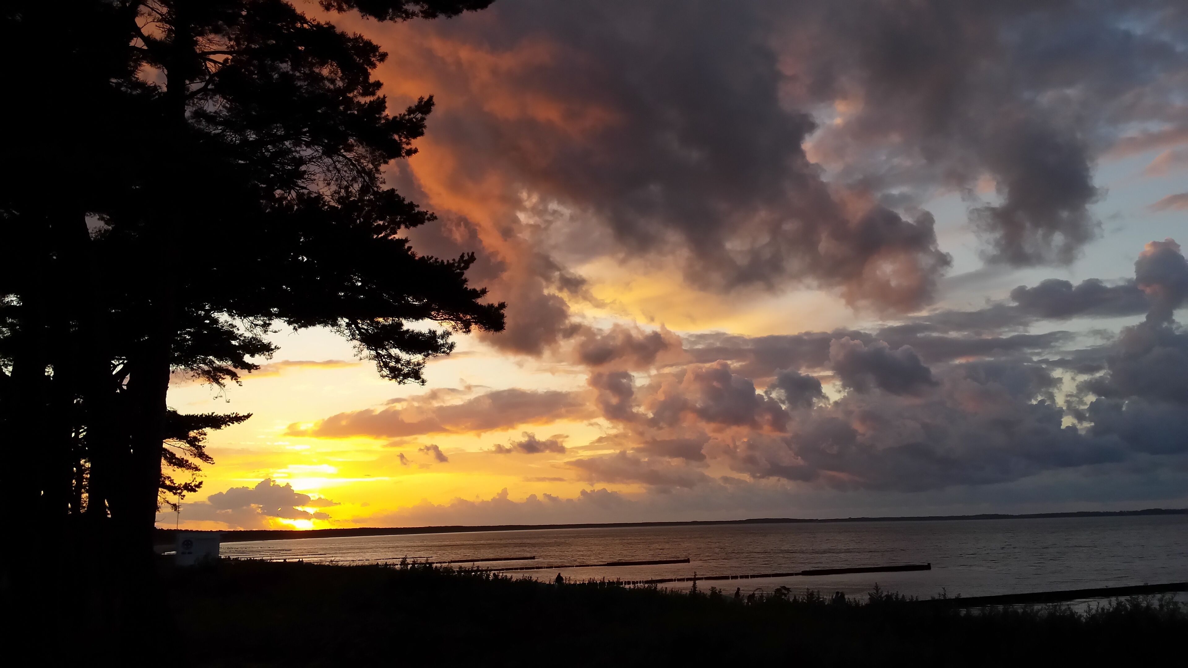 Tramonto su uno specchio d'acqua con la silhouette di alberi in primo piano.