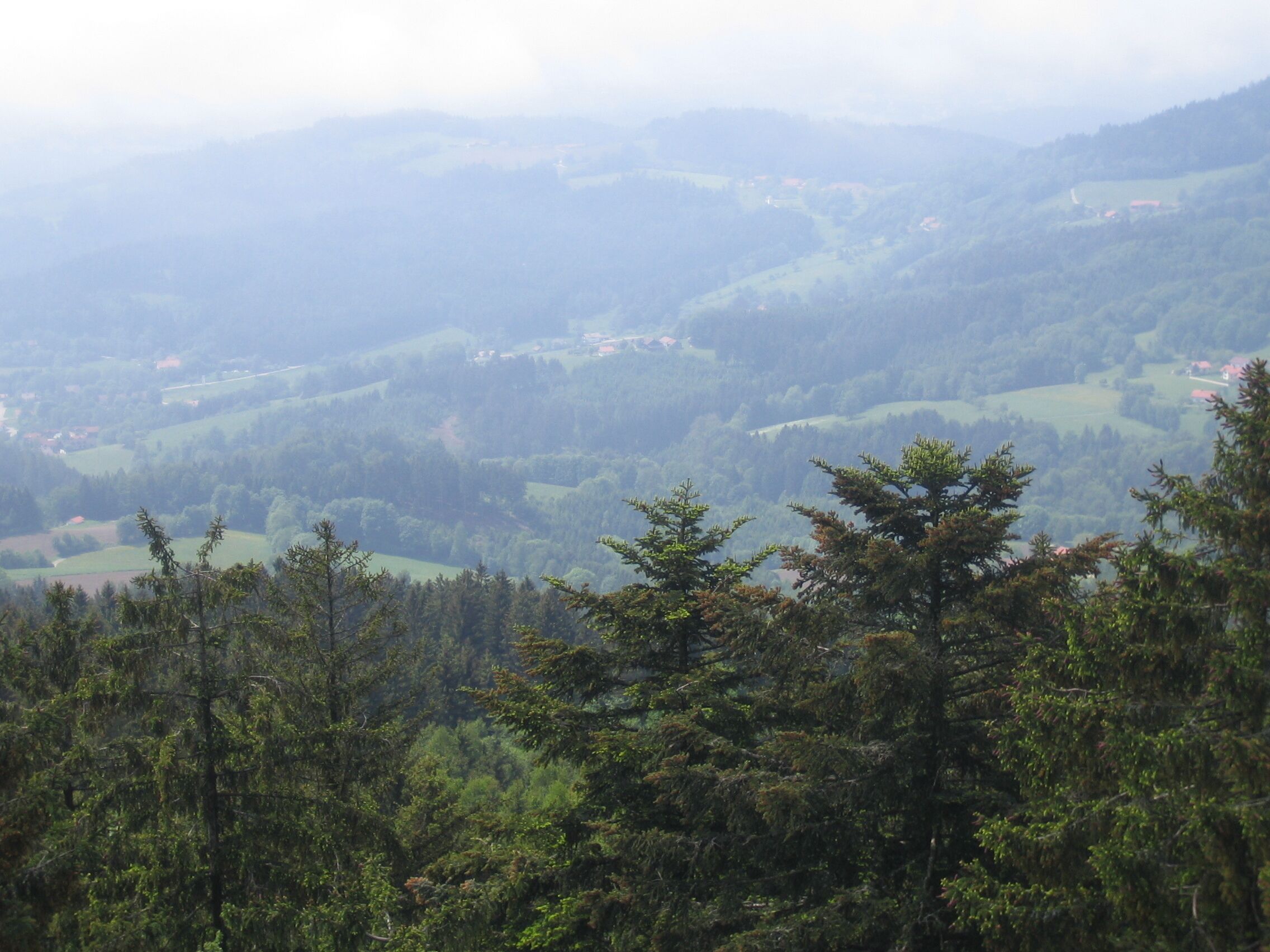 A mountainous landscape with dense forests and scattered buildings.