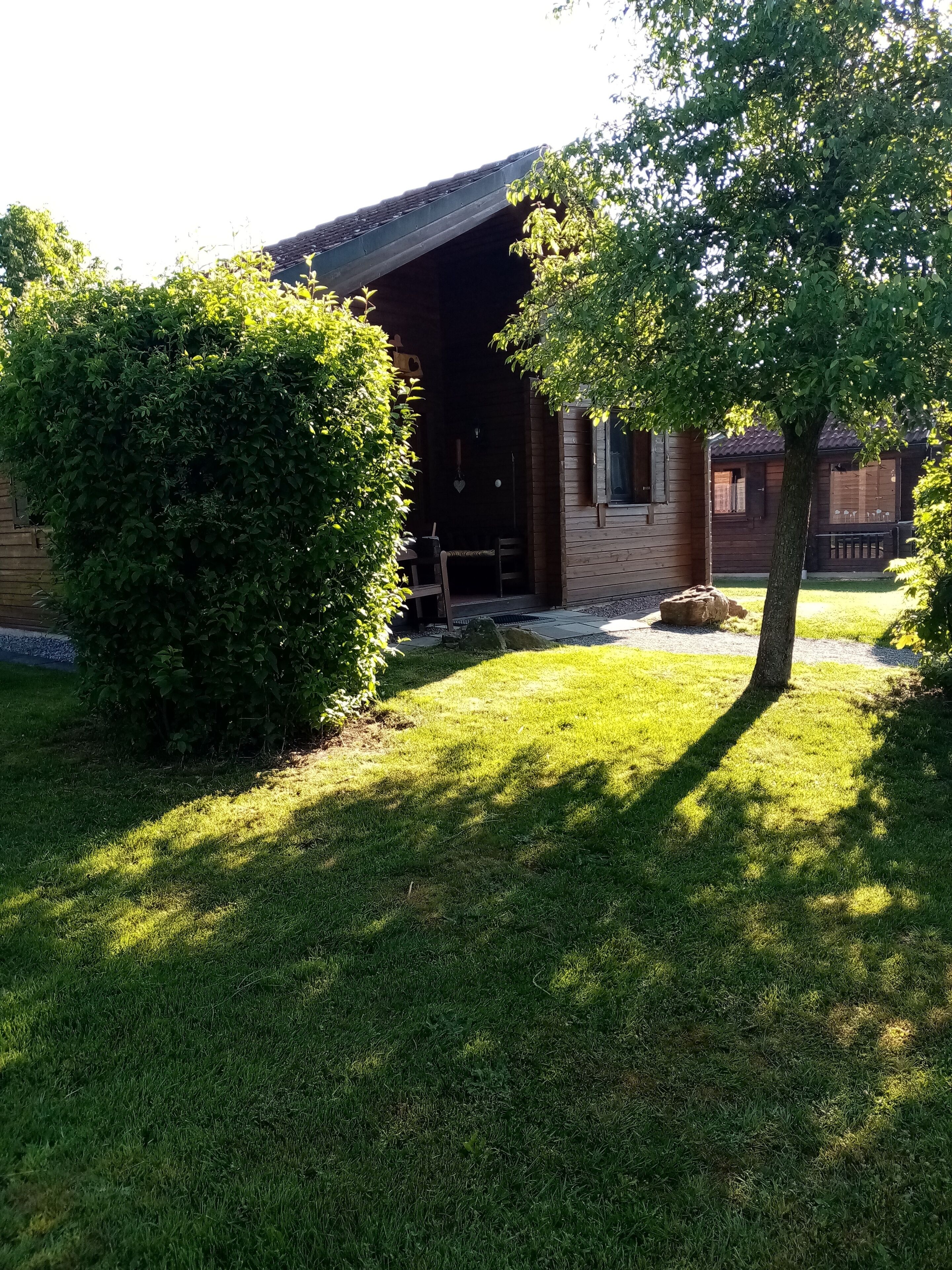 A wooden cabin with a covered porch, surrounded by well-maintained grass and a large bush.